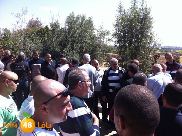 jaznazaabo3afaya412 (5).JPG